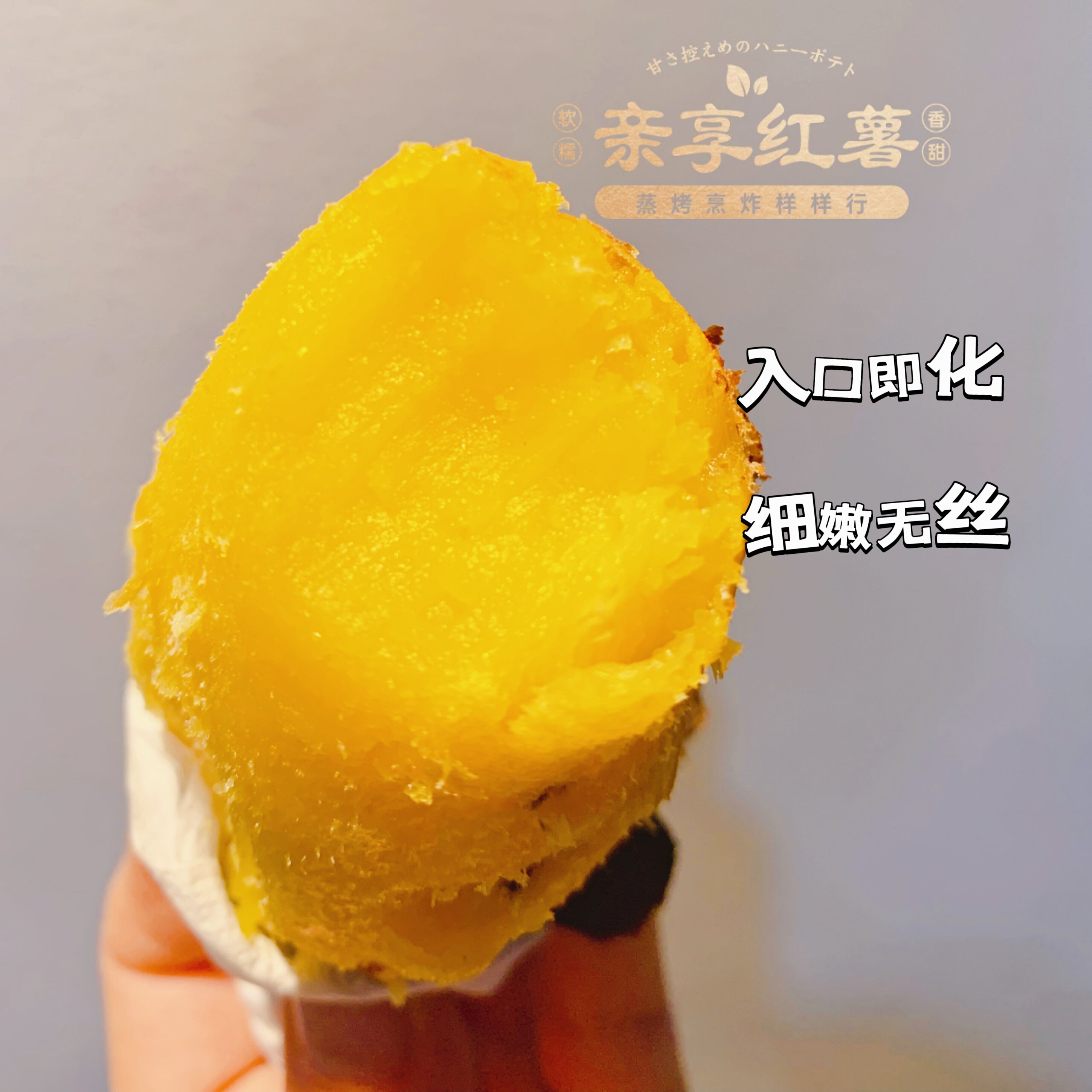 日本原种高端红薯