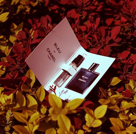 【小样】香奈儿 蔚蓝试管1.5ml 商品图1