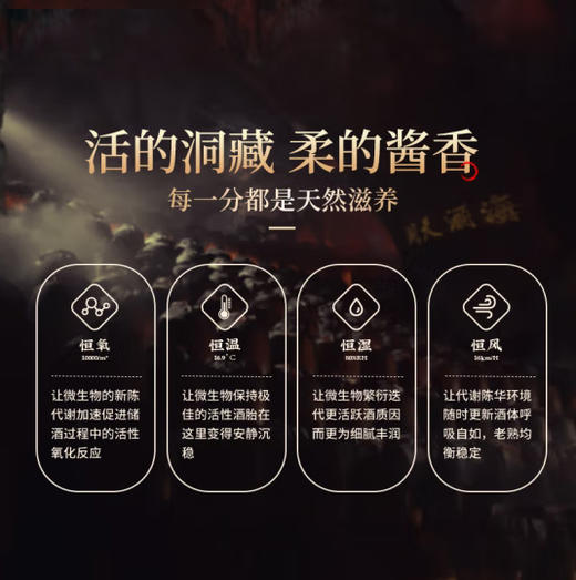 53°丹泉洞藏（15）第三代 500ml/瓶-停用 商品图6