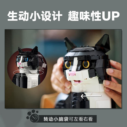 乐高积木  L21349	创意高手燕尾服猫 商品图4