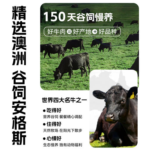 鹿鹿推荐·【袋鼠先生】澳洲安格斯牛排脆25g 原味/热辣味/黑松露味 商品图2