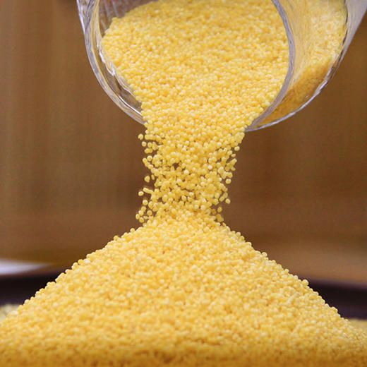 农家小米5斤 赤峰金苗米  黄小米 宝宝粥米 商品图1