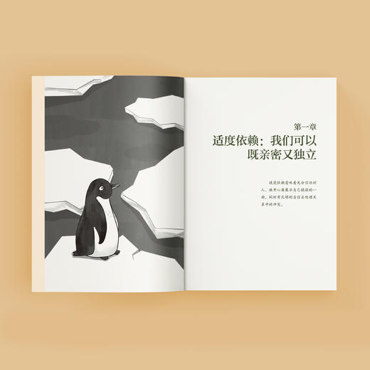 《关系：适度依赖让我们走得更近》 商品图5