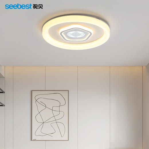 中国结-圆升级版-厚板卧室灯 商品图2