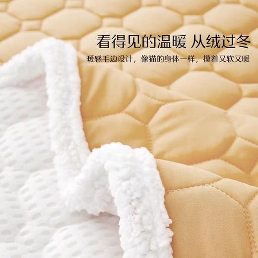 水星家纺学生宿舍抗菌床垫软垫单人家用褥子垫子床上用品 商品图1