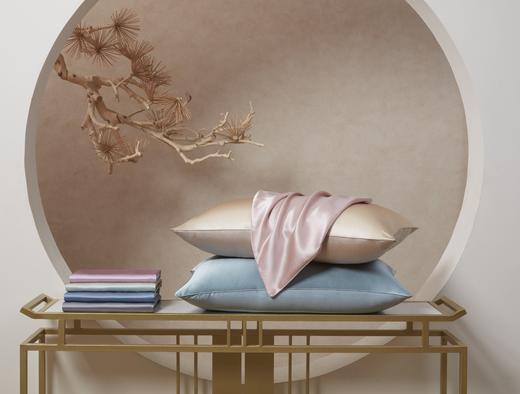 TAIHUSNOW太湖雪真丝纯色枕套 商品图0