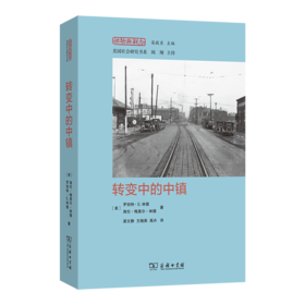转变中的中镇(经验与观念丛书)