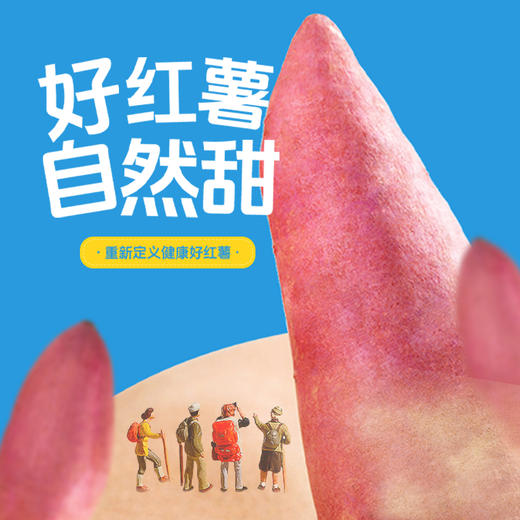 52度良作红薯，丰富细腻的绵甜，口味甜而不腻 商品图1