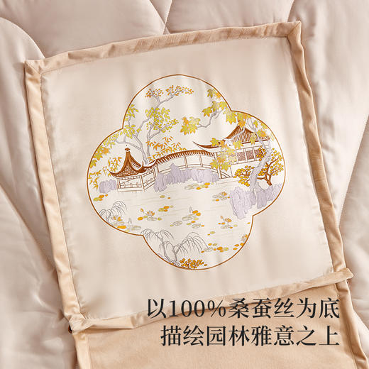 太湖雪 小飞虹午休抱枕被 被子 商品图2