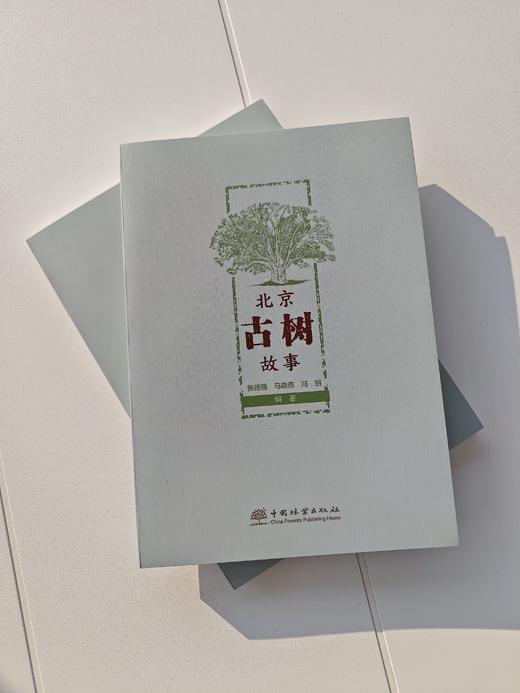 北京古树故事 &2863 中国林业出版社 图书 商品图1