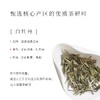 出口茶-福鼎白茶白牡丹袋泡茶冷泡萃茶原叶茶包45g（3g*15） 商品缩略图2