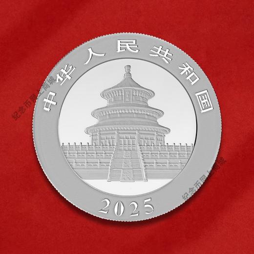 2025年熊猫30克银币 商品图3