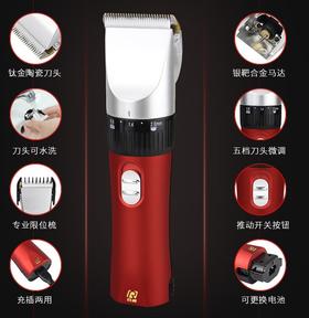 日威专业电推剪RFCD-901