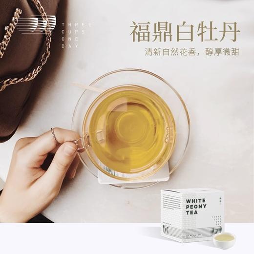 出口茶-福鼎白茶白牡丹袋泡茶冷泡萃茶原叶茶包45g（3g*15） 商品图1