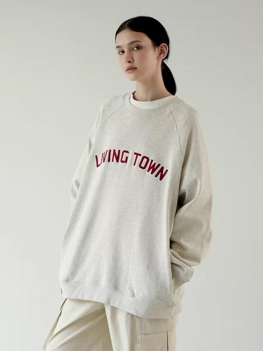 LIVINGTOWN/LT重磅460G贴布绣圆领卫衣  不加绒 商品图3