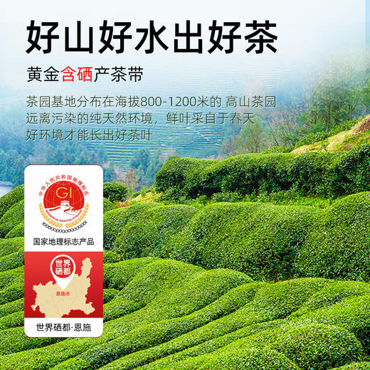 【2026新茶】恩施玉露春茶高山明前绿茶一级精选硒茶清风如你礼盒 200g（100g*2) CM 商品图1