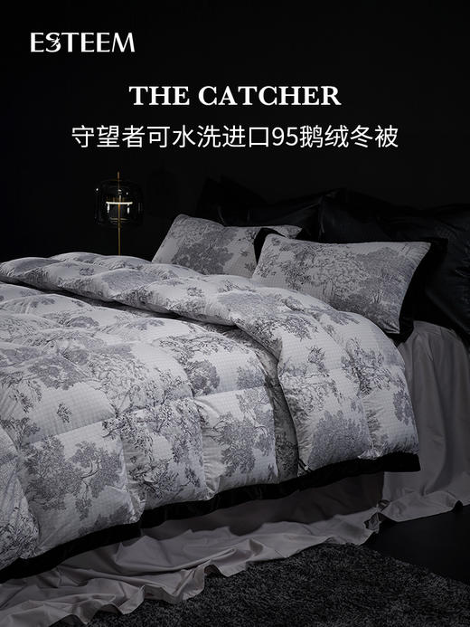 ESTEEM/宜庭守望者可水洗95白鹅绒被子进口羽绒冬被【专柜同款】 商品图0