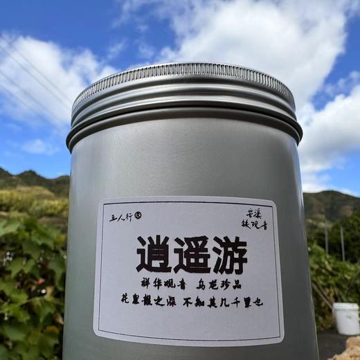 24秋 逍遥游 传统清香铁观音茶 62克 商品图0