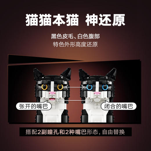 乐高积木  L21349	创意高手燕尾服猫 商品图3