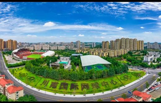 自贡南湖网球年卡抵用券（限购5件） 商品图5