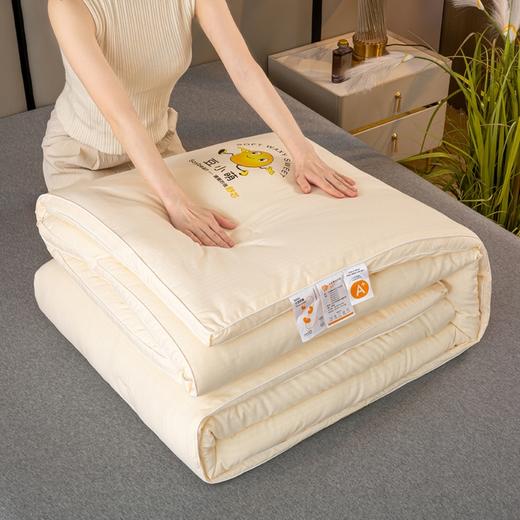 TZW-2024新款超柔云感A类立体大豆纤维被子母被冬被春秋被芯 商品图6