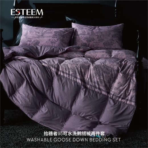 拾穗者95可水洗鹅绒被两件套 商品图2
