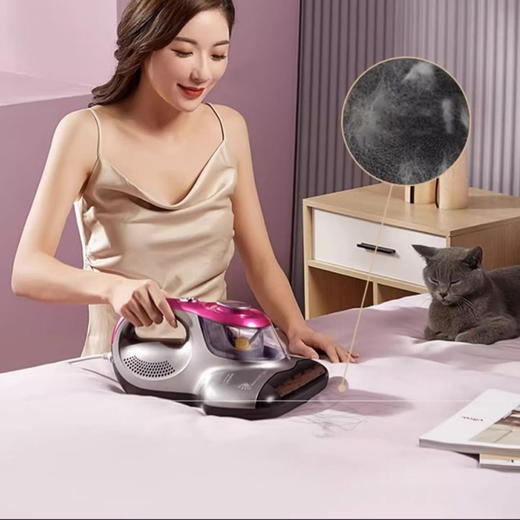 莱克吉米（Jimmy） 除螨仪吸尘除螨一体机  BX3 商品图3