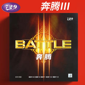 友谊729 奔腾3省队乒乓球拍胶皮奔腾III