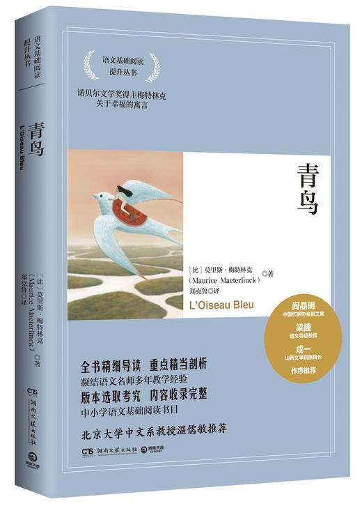 新青鸟  看不见的小猫  橡皮擦乐队  剧院老鼠的船长梦   梦想是生命里的光  时间开出的花   6年级套装|正版现货速发|名师推荐|小学生课外阅读六年级 商品图6