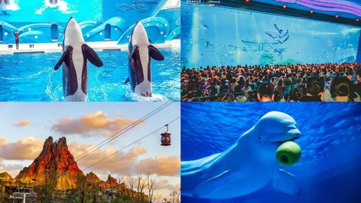 【小记者采风】硖石小学上海海昌海洋公园 商品图2