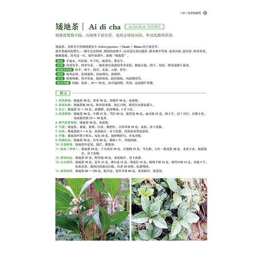 正版全新 苗家实用草药 滕建甲 黄爱辉 主编 全草类苗药 根茎类苗药 茎秆类苗药 果实类苗药 花类苗药9787515226590中医古籍出版社 商品图3