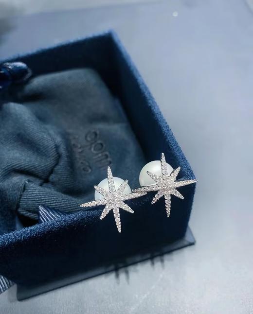 【不退不换，介意勿拍】APM Monaco 耳环  AE16019XPL-F 商品图0