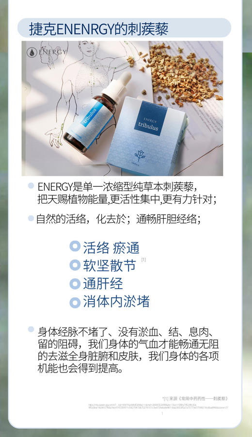 捷克energy安能聚内壮刺蒺藜能源&胶囊款 商品图3
