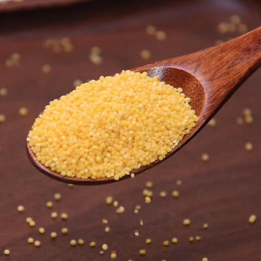 农家小米5斤 赤峰金苗米  黄小米 宝宝粥米 商品图2