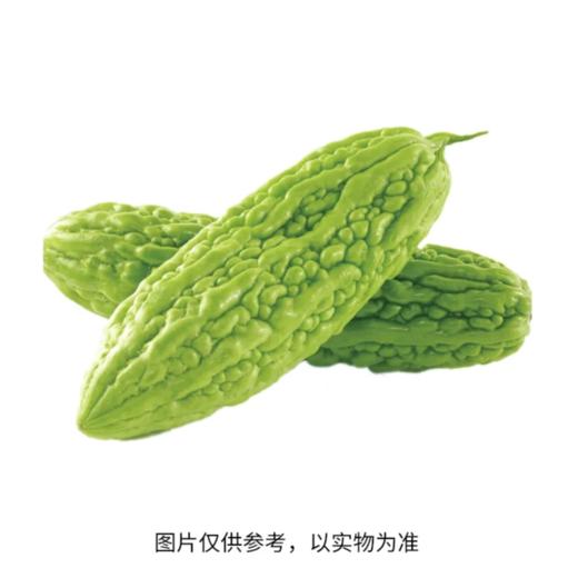 苦瓜（精包）（600±50g） 商品图0