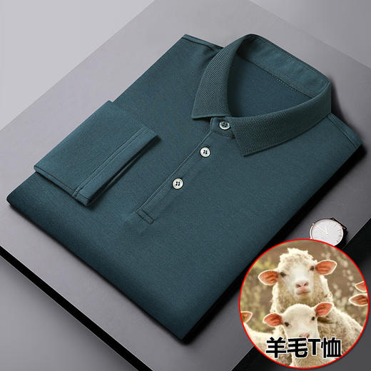 【羊毛】【新款DWP】大依优型大码长袖T恤Polo衫翻领男装加肥加大体恤大号上衣胖子内搭 商品图2