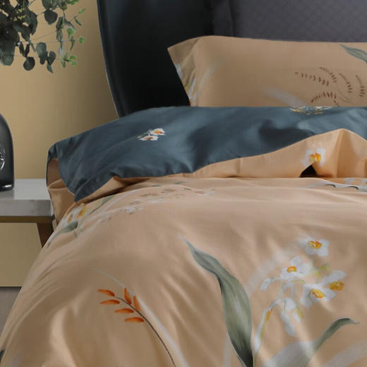 水星家纺全棉四件套晚安心语-S04（被套：200*230、床单：240*245、枕套：48*74cm）【分仓直发，72小时发货，周末节假日不发货】 商品图1