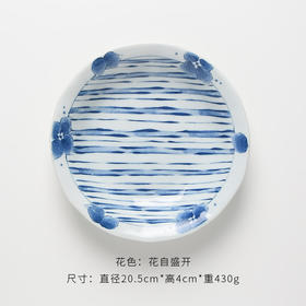 十草意面盘	59120	20.5*4cm