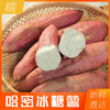 山东哈密冰糖薯软糯香甜入口即化 商品缩略图3