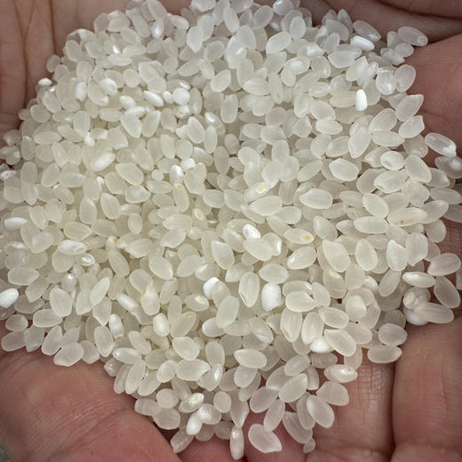 东北延边大米 商品图2