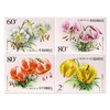 《百合花》特种邮票 2003-4 商品缩略图0