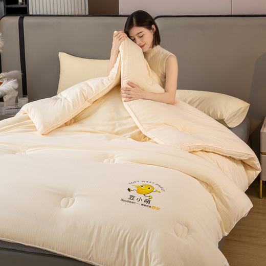 TZW-2024新款超柔云感A类立体大豆纤维被子母被冬被春秋被芯 商品图1