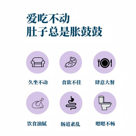 【桑葚发酵饮】187ml原汁发酵不添加蔗糖酸甜浓稠噗噗通畅 商品图2