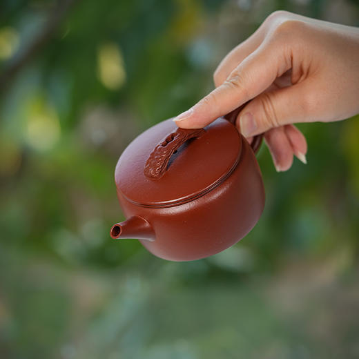 龙德堂陶艺 汤宣武制 《云瓦》150cc 原矿大红袍 (库存请咨询客服) 商品图3