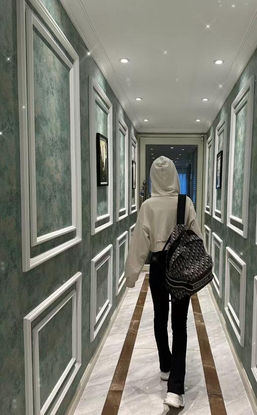 D家老花双肩包 男女同款 商品图4