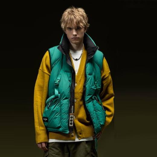 【社群秒杀】HX 冬季立领羽绒马甲工装风格Z108340003101/02/03 商品图0