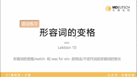 10. 形容词的变格