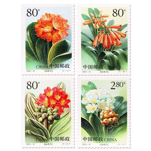 《君子兰》特种邮票 2000-24 商品图0