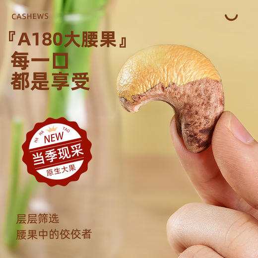原味香脆腰果500g罐装坚果带皮腰果休闲零食干果炒货腰果仁 商品图2