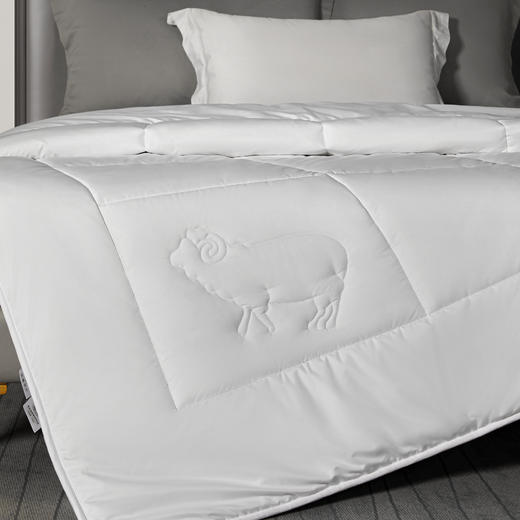 简色生活臻选抗菌羊毛被200*230cm【分仓直发，72小时发货，周末节假日不发货】 商品图0